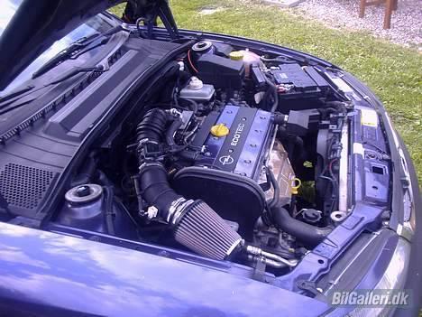 Opel Vectra b - Pænt motorum i betragtning af at den har rundet de 200000 billede 18