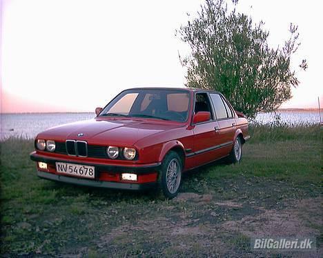 BMW E30 320i - D6/8-06 Efter polering og solfilm. der har også været i de foresteruder men det syntes ordensmagten ik var så cool så det blev vi enig om at ta ud igen... billede 2