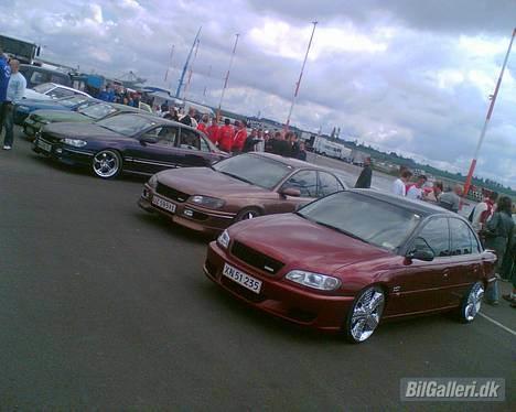 Opel Omega B V6 • Steinmetz • - opel traf i tyskland 2005 billede 12