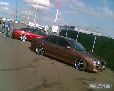 Opel Omega B V6 • Steinmetz • - opel traf i tyskland 2005 billede 13