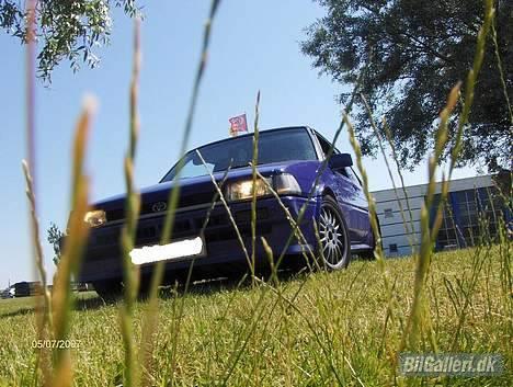 Toyota corolla GT Twincam  - jeg gav en myre 5 stykker sukker for et nær billede :O billede 12