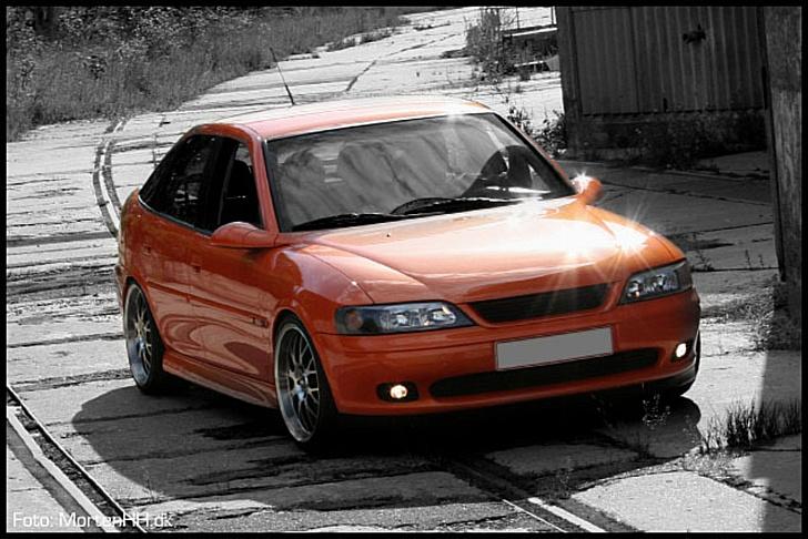 Opel Vectra B CC (JFB) - Foto: Morten Henriksen - Mortenhh.dk billede 5