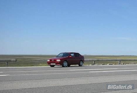 Alfa Romeo 33 QuadrofoglioVerde 16V billede 7