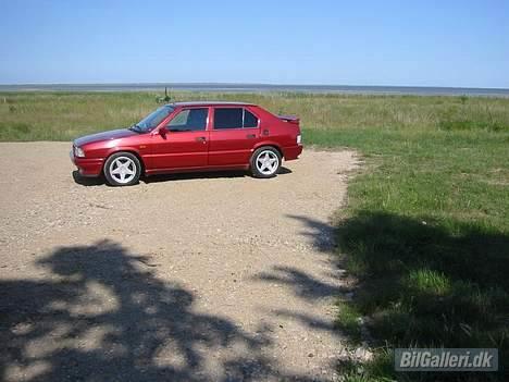 Alfa Romeo 33 QuadrofoglioVerde 16V billede 11