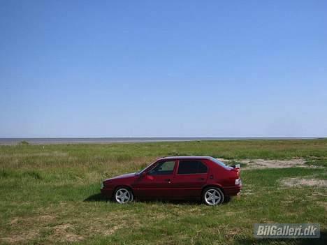 Alfa Romeo 33 QuadrofoglioVerde 16V billede 13