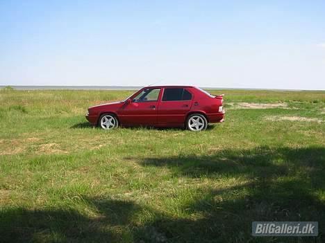 Alfa Romeo 33 QuadrofoglioVerde 16V billede 14