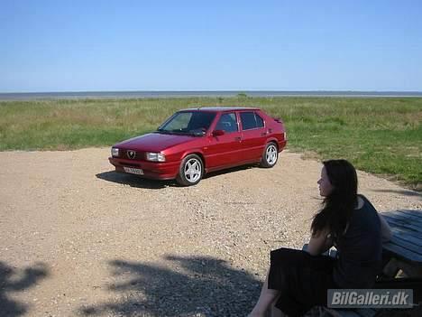 Alfa Romeo 33 QuadrofoglioVerde 16V billede 15
