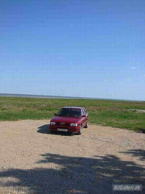 Alfa Romeo 33 QuadrofoglioVerde 16V billede 16