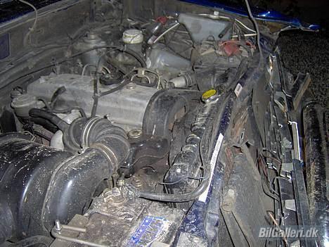 Mitsubishi L200 strada død ved kølle - sådan ser motor rummet ud efter et par trær i fronten.... æv æv billede 20