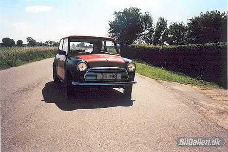 Mini Morris Mascot HOLDER I HI billede 13