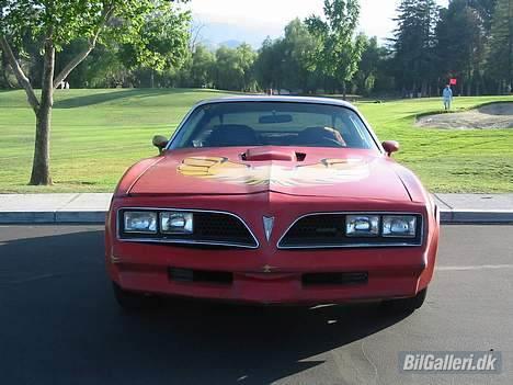 Pontiac Firebird Trans Am billede 1