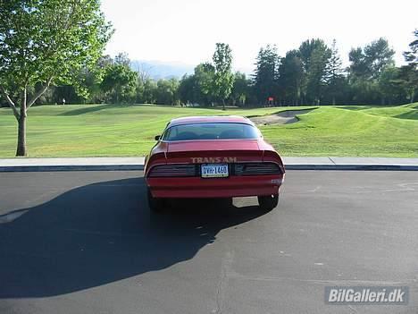 Pontiac Firebird Trans Am billede 4