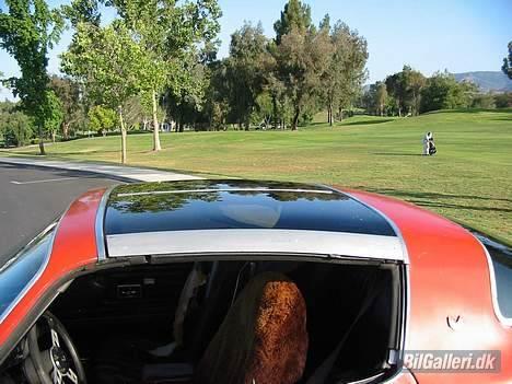 Pontiac Firebird Trans Am billede 5