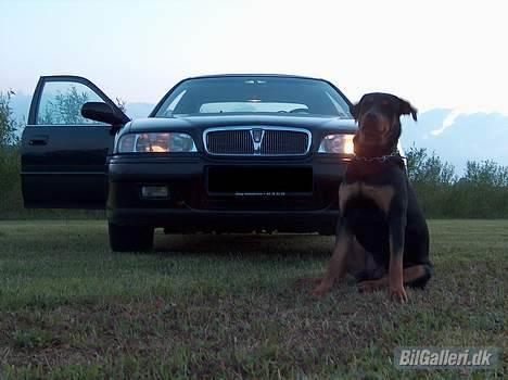 Rover 600 billede 11