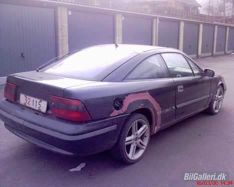 Opel Calibra Airride Panter - Trænkte til en kærlig hånd billede 3