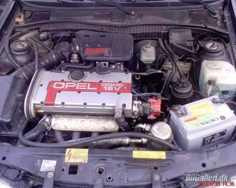 Opel Calibra Airride Panter - Motoren som den var billede 8