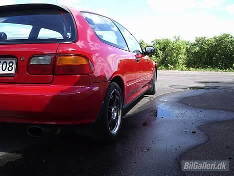Honda Civic billede 6