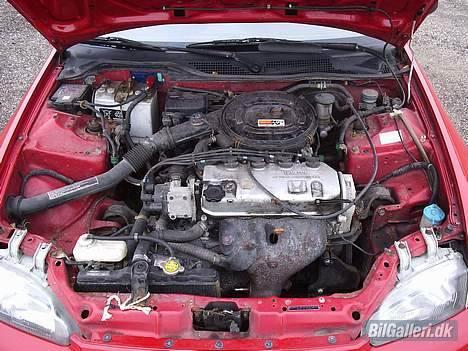 Honda Civic billede 11