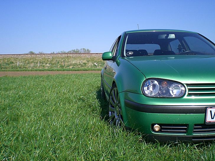 VW Golf 4  1,9 TDI solgt billede 1