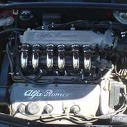 Alfa Romeo 155 V6 candy R.I.P