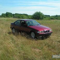 BMW E36 325i  SOLGT