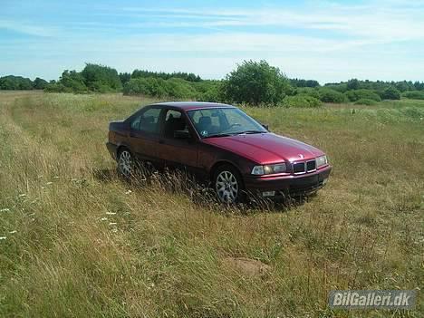 BMW E36 325i  SOLGT billede 1