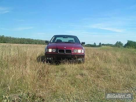 BMW E36 325i  SOLGT billede 2
