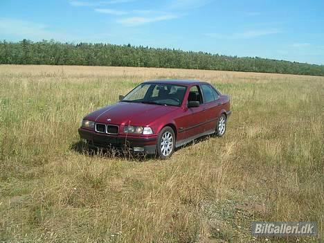 BMW E36 325i  SOLGT billede 3