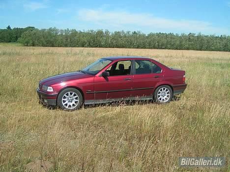 BMW E36 325i  SOLGT billede 4