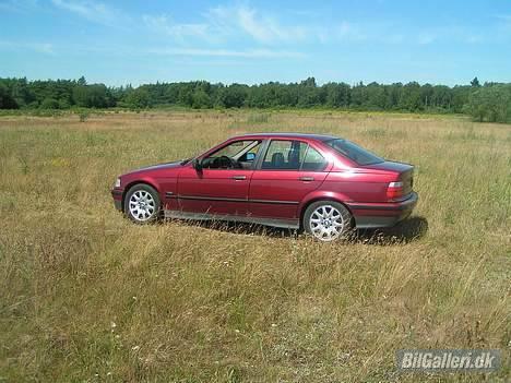 BMW E36 325i  SOLGT billede 5