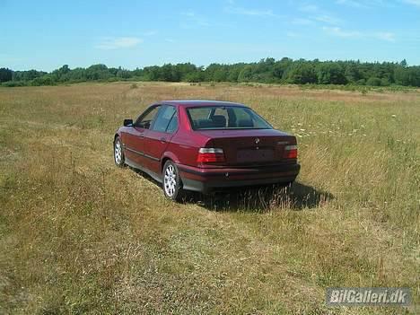 BMW E36 325i  SOLGT billede 6
