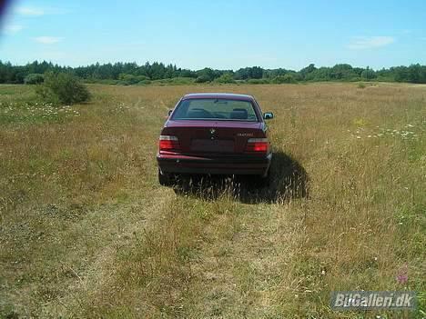 BMW E36 325i  SOLGT billede 7