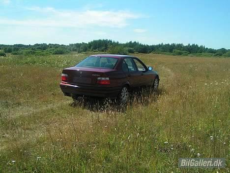 BMW E36 325i  SOLGT billede 8