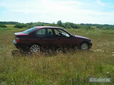 BMW E36 325i  SOLGT billede 10