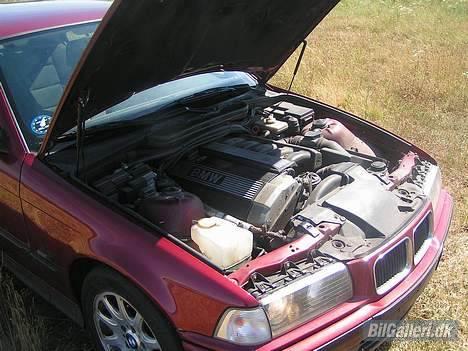 BMW E36 325i  SOLGT billede 11