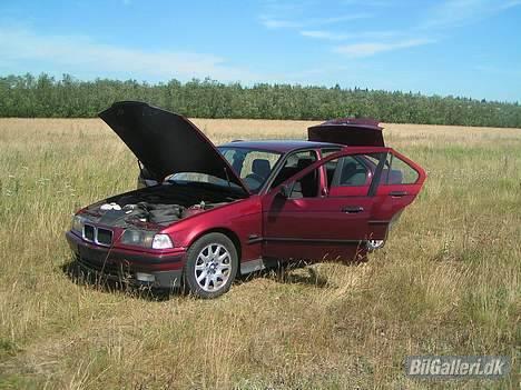 BMW E36 325i  SOLGT billede 12