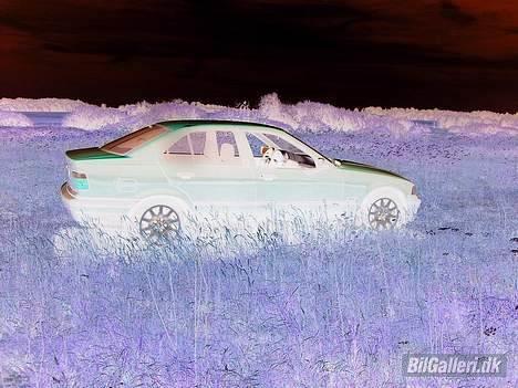 BMW E36 325i  SOLGT billede 14