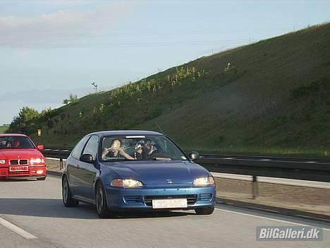 Honda CIVIC D15Z6  - På vej til DHB 06 :D billede 12