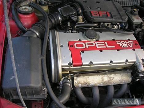Opel calibra 2.0i 16v (SOLGT) - Gammelt billede af motoren billede 6