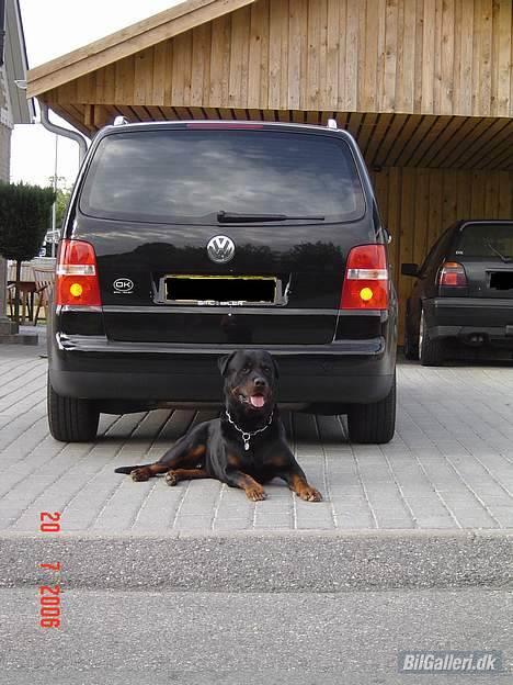 VW Touran - wauvnen.. og bilalarm billede 1
