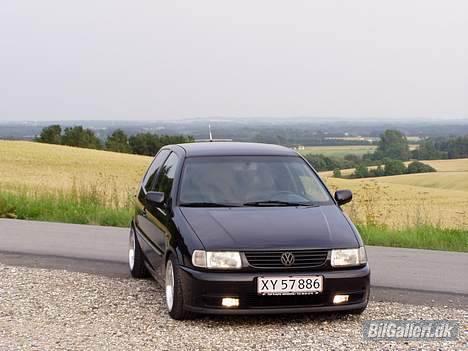 VW Polo 6N billede 10