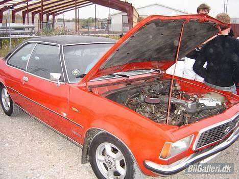 Opel commodore *byttet* billede 11