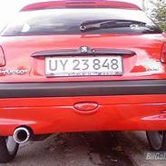 Peugeot ~Amok 206~