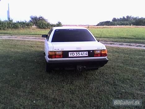 Audi 100 Prinsesse Berta SOLGT billede 5