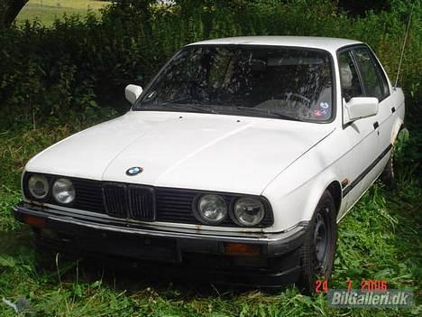 BMW                                       E30 323i billede 7