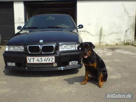 BMW e36 bilen er solgt billede 16