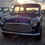 Mini Morris 1000 SOLGT