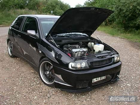 Seat Ibiza 2.0GTi WMAX 2006 - Der er sku en motor i bilen, men det er nu mere frontklapsdæmperne der er fede :) billede 12