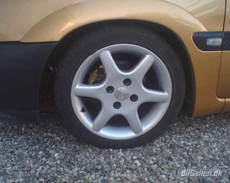 Citroën saxo * R.I.P * - Dæk: Pro-Tech 500 (Viking) - Fælge: OZ-racing 15" billede 2