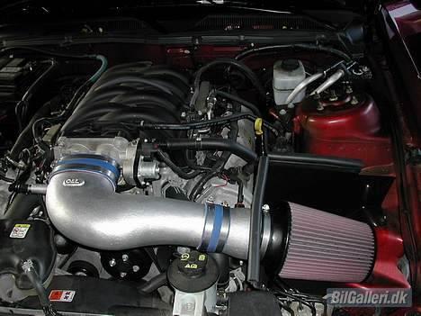 Ford Mustang GT (Solgt) - Så fik jeg lige monteret et lidt større sugerør! billede 10